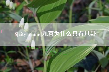 安阳九宫为什么只有八卦
