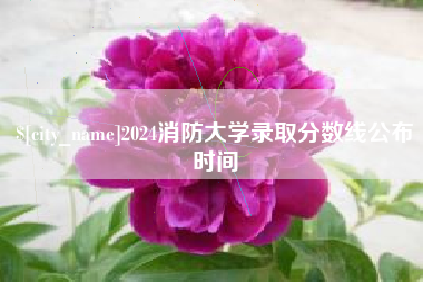 安阳2024消防大学录取分数线公布时间