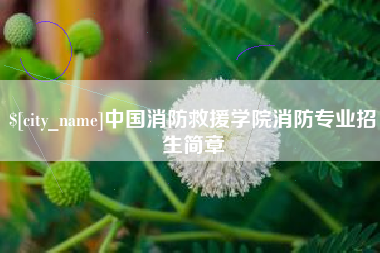 安阳中国消防救援学院消防专业招生简章