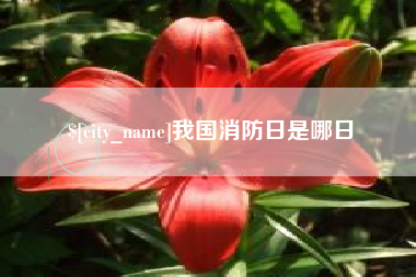 安阳我国消防日是哪日