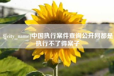 安阳中国执行案件查询公开网都是执行不了得案子