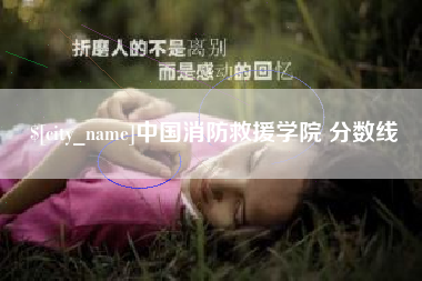 安阳中国消防救援学院 分数线