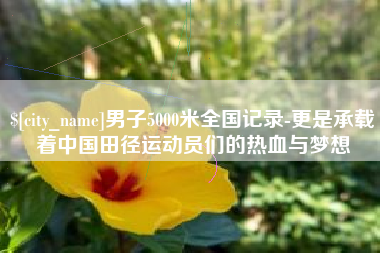 安阳男子5000米全国记录-更是承载着中国田径运动员们的热血与梦想