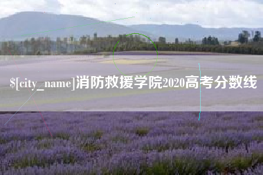 安阳消防救援学院2020高考分数线