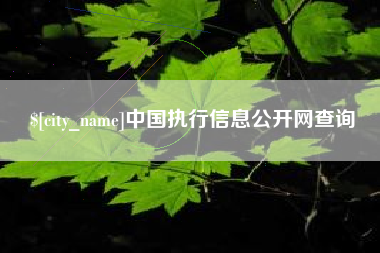 安阳中国执行信息公开网查询