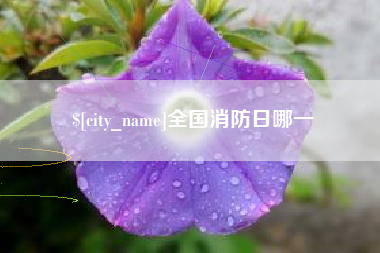 安阳全国消防日哪一