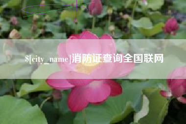 安阳消防证查询全国联网