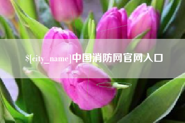 安阳中国消防网官网入口