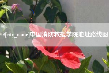 安阳中国消防救援学院地址路线图