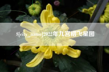 安阳2022年九宫格飞星图