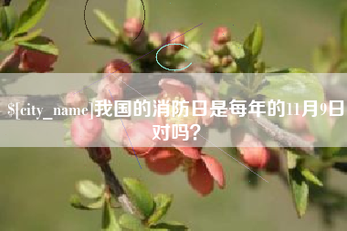 安阳我国的消防日是每年的11月9日对吗？