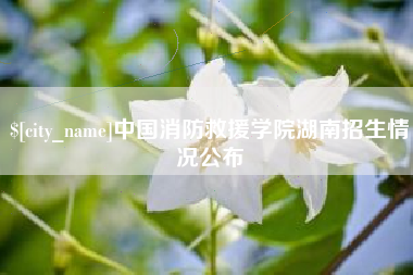 安阳中国消防救援学院湖南招生情况公布
