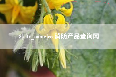 安阳ccc消防产品查询网