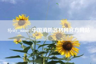 安阳中国消防器材网官方网站