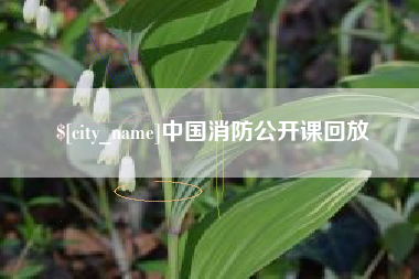 安阳中国消防公开课回放