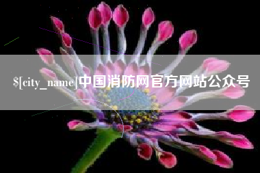 安阳中国消防网官方网站公众号