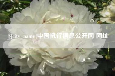 安阳中国执行信息公开网 网址