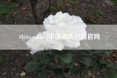 安阳中国消防产品官网
