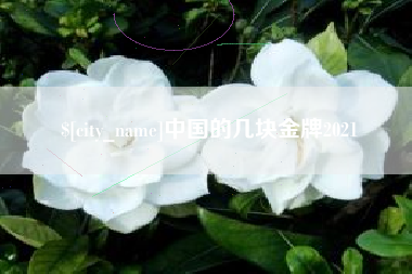 安阳中国的几块金牌2021