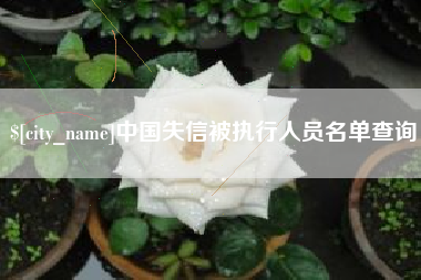 安阳中国失信被执行人员名单查询