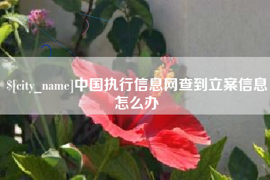 安阳中国执行信息网查到立案信息怎么办
