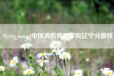 安阳中国消防救援学院辽宁分数线