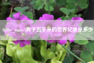 安阳男子五千米的世界纪录是多少