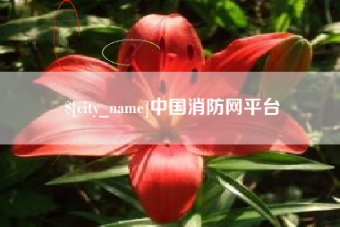 安阳中国消防网平台