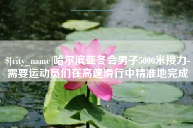 安阳哈尔滨亚冬会男子5000米接力-需要运动员们在高速滑行中精准地完成