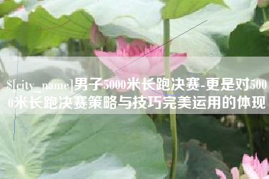 安阳男子5000米长跑决赛-更是对5000米长跑决赛策略与技巧完美运用的体现