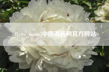 安阳中国消防网官方网站