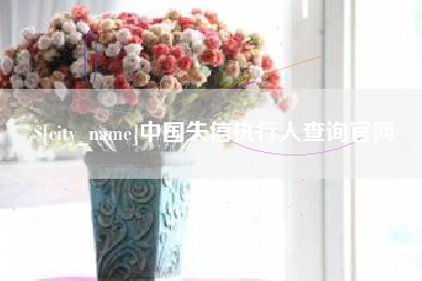 安阳中国失信执行人查询官网