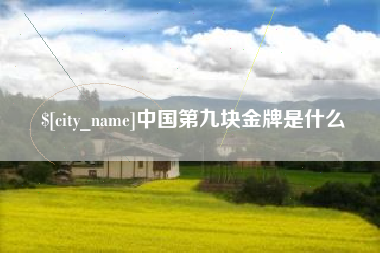 安阳中国第九块金牌是什么