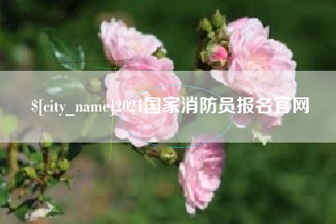 安阳2021国家消防员报名官网