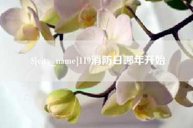 安阳119消防日哪年开始