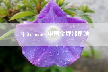安阳中国金牌都是啥