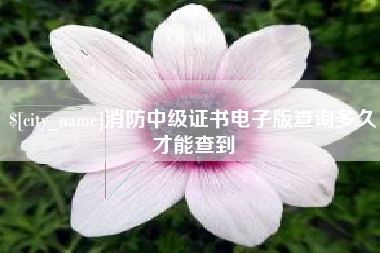 安阳消防中级证书电子版查询多久才能查到
