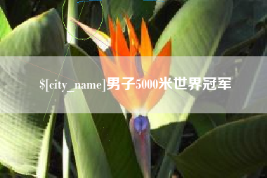 安阳男子5000米世界冠军