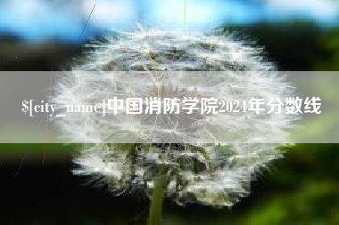 安阳中国消防学院2024年分数线