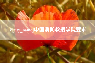 安阳中国消防救援学院要求