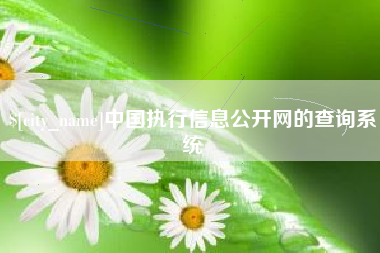 安阳中国执行信息公开网的查询系统