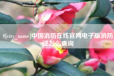 安阳中国消防在线官网电子版消防证怎么查询