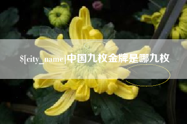 安阳中国九枚金牌是哪九枚