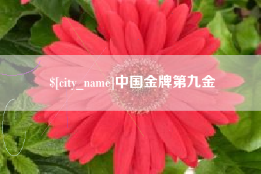 安阳中国金牌第九金