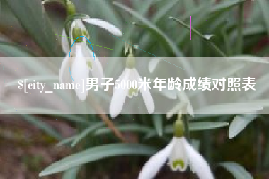 安阳男子5000米年龄成绩对照表
