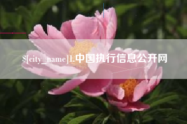 安阳1.中国执行信息公开网