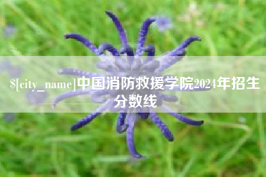 安阳中国消防救援学院2024年招生分数线