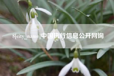 安阳中国执行信息公开网询