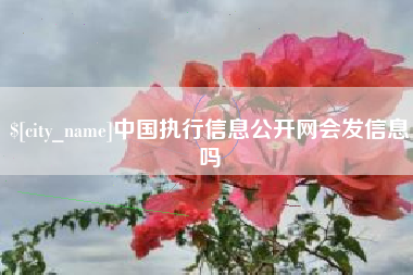 安阳中国执行信息公开网会发信息吗