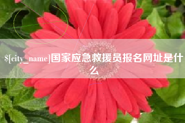 安阳国家应急救援员报名网址是什么
